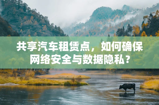 共享汽车租赁点，如何确保网络安全与数据隐私？