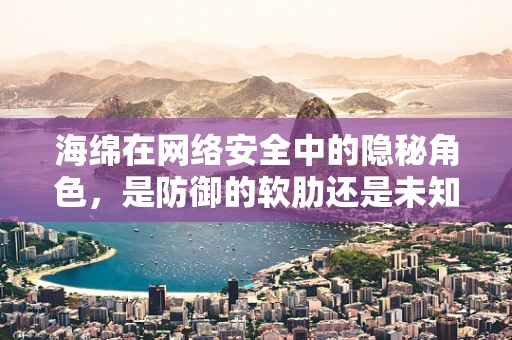 海绵在网络安全中的隐秘角色，是防御的软肋还是未知的利器？