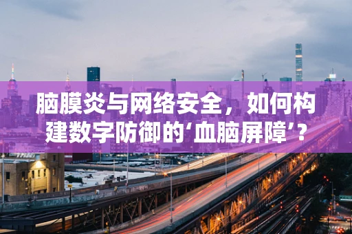 脑膜炎与网络安全，如何构建数字防御的‘血脑屏障’？
