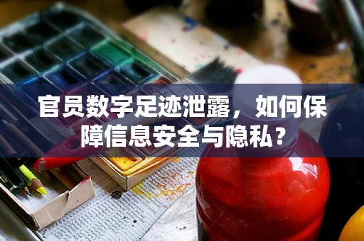 官员数字足迹泄露，如何保障信息安全与隐私？