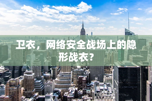 卫衣，网络安全战场上的隐形战衣？