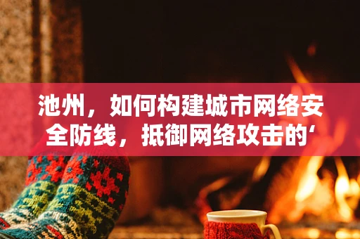 池州，如何构建城市网络安全防线，抵御网络攻击的‘隐形盾牌’？