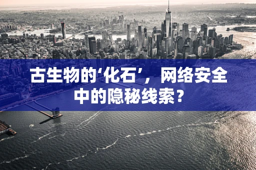 古生物的‘化石’，网络安全中的隐秘线索？