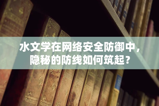 水文学在网络安全防御中，隐秘的防线如何筑起？