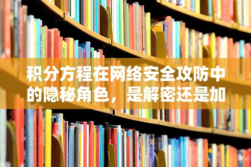 积分方程在网络安全攻防中的隐秘角色，是解密还是加密的钥匙？