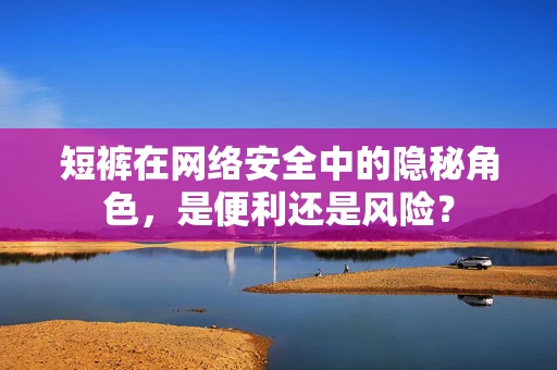 短裤在网络安全中的隐秘角色，是便利还是风险？