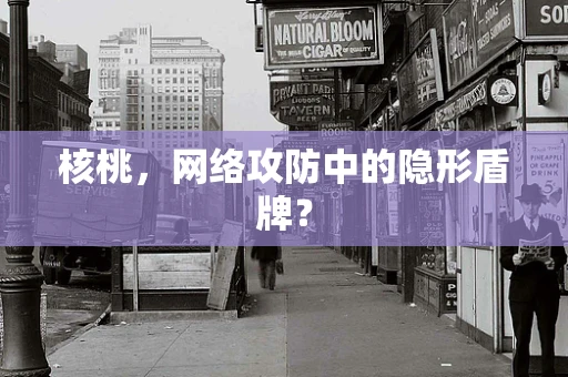 核桃，网络攻防中的隐形盾牌？
