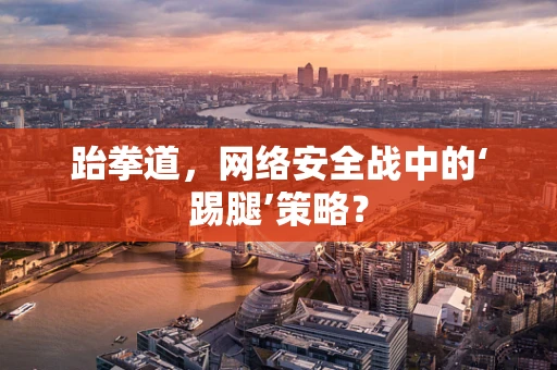 跆拳道，网络安全战中的‘踢腿’策略？