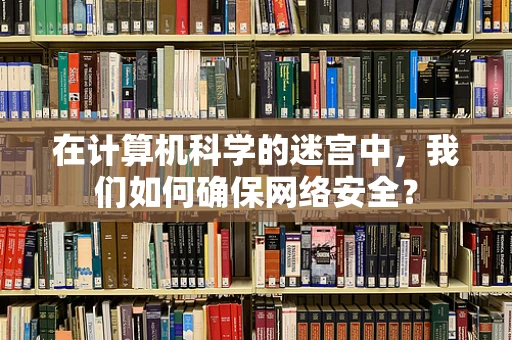 在计算机科学的迷宫中，我们如何确保网络安全？