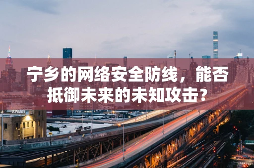 宁乡的网络安全防线，能否抵御未来的未知攻击？