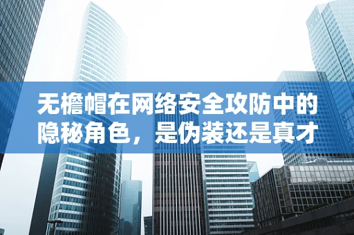 无檐帽在网络安全攻防中的隐秘角色，是伪装还是真才实学？
