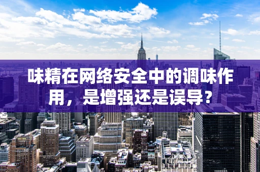 味精在网络安全中的调味作用，是增强还是误导？