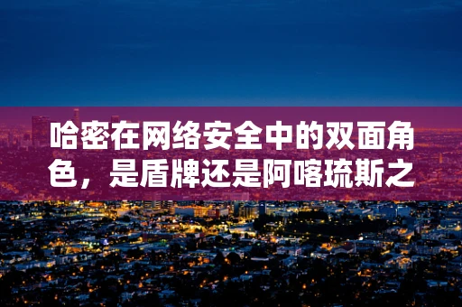 哈密在网络安全中的双面角色，是盾牌还是阿喀琉斯之踵？