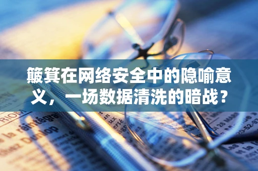 簸箕在网络安全中的隐喻意义，一场数据清洗的暗战？