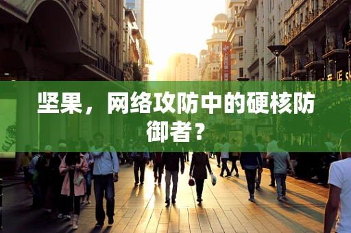 坚果，网络攻防中的硬核防御者？