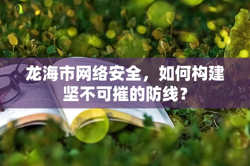 龙海市网络安全，如何构建坚不可摧的防线？
