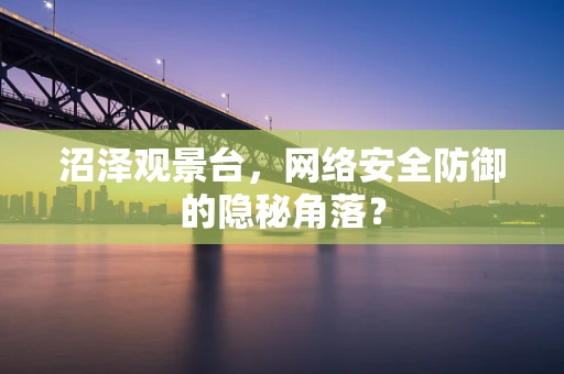 沼泽观景台，网络安全防御的隐秘角落？