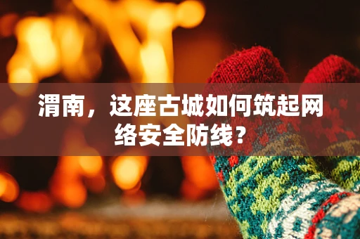 渭南，这座古城如何筑起网络安全防线？