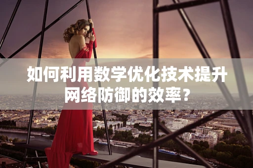 如何利用数学优化技术提升网络防御的效率？