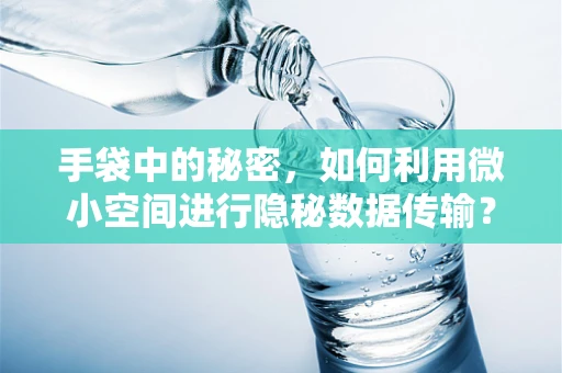 手袋中的秘密，如何利用微小空间进行隐秘数据传输？