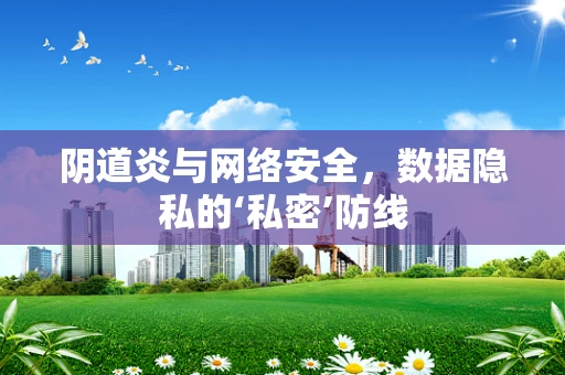 阴道炎与网络安全，数据隐私的‘私密’防线