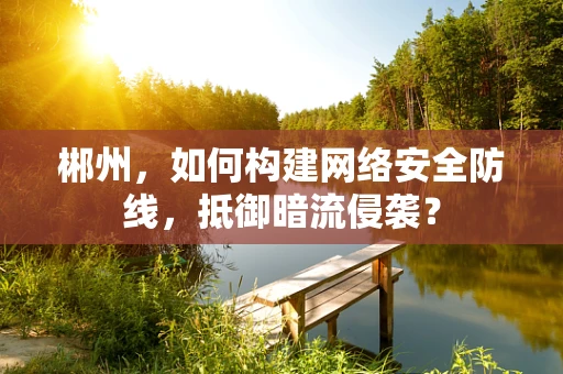 郴州，如何构建网络安全防线，抵御暗流侵袭？