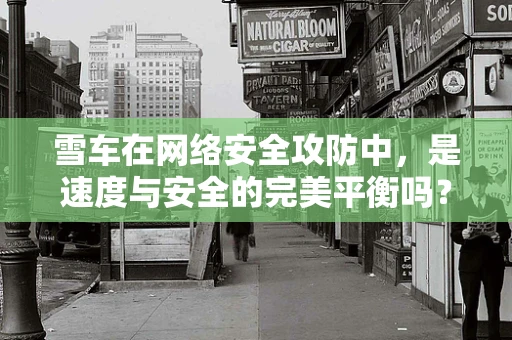 雪车在网络安全攻防中，是速度与安全的完美平衡吗？