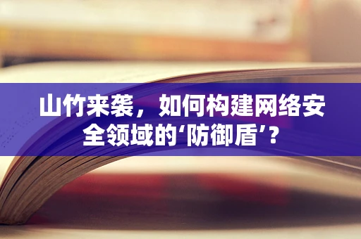 山竹来袭，如何构建网络安全领域的‘防御盾’？
