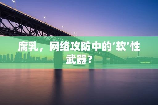 腐乳，网络攻防中的‘软’性武器？