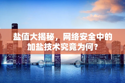 盐值大揭秘，网络安全中的加盐技术究竟为何？