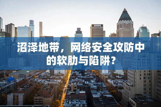 沼泽地带，网络安全攻防中的软肋与陷阱？