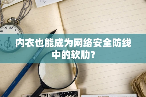 内衣也能成为网络安全防线中的软肋？