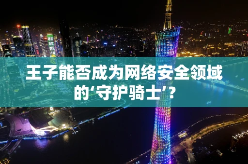 王子能否成为网络安全领域的‘守护骑士’？
