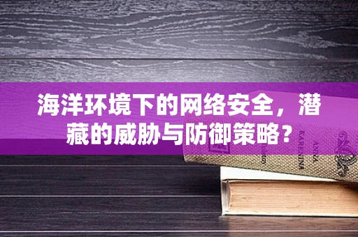 海洋环境下的网络安全，潜藏的威胁与防御策略？