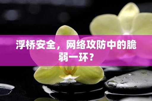 浮桥安全，网络攻防中的脆弱一环？