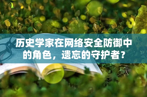 历史学家在网络安全防御中的角色，遗忘的守护者？