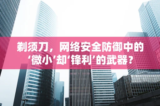 剃须刀，网络安全防御中的‘微小’却‘锋利’的武器？