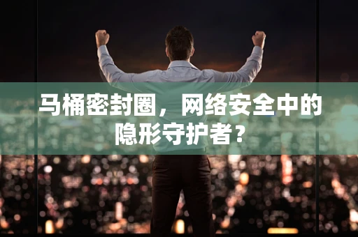 马桶密封圈，网络安全中的隐形守护者？
