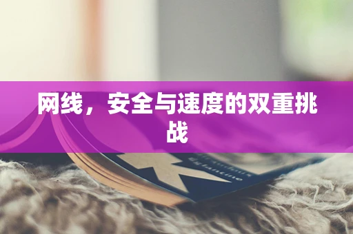 网线，安全与速度的双重挑战