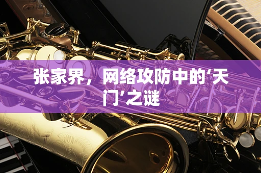 张家界，网络攻防中的‘天门’之谜