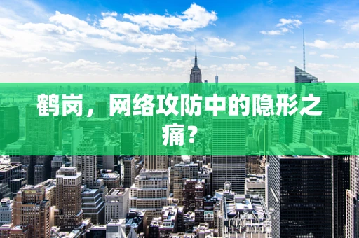 鹤岗，网络攻防中的隐形之痛？