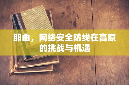那曲，网络安全防线在高原的挑战与机遇