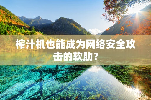 榨汁机也能成为网络安全攻击的软肋？