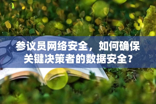 参议员网络安全，如何确保关键决策者的数据安全？