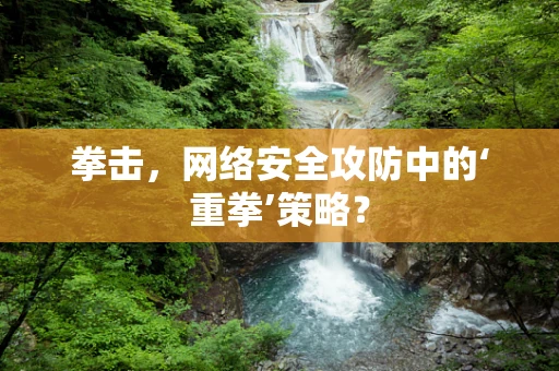 拳击，网络安全攻防中的‘重拳’策略？