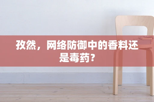 孜然，网络防御中的香料还是毒药？