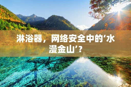 淋浴器，网络安全中的‘水漫金山’？