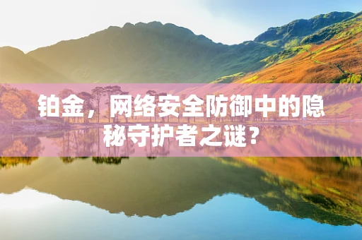 铂金，网络安全防御中的隐秘守护者之谜？