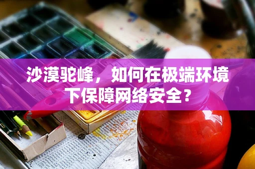 沙漠驼峰，如何在极端环境下保障网络安全？