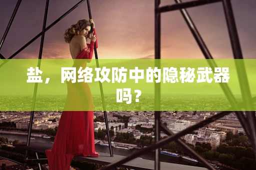 盐，网络攻防中的隐秘武器吗？